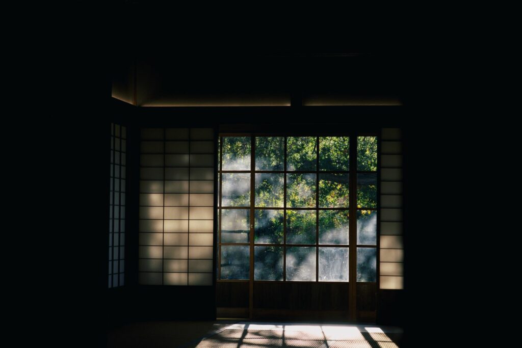 Le rôle de la vitamine D