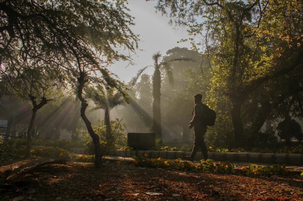 Faire le plein de lumière