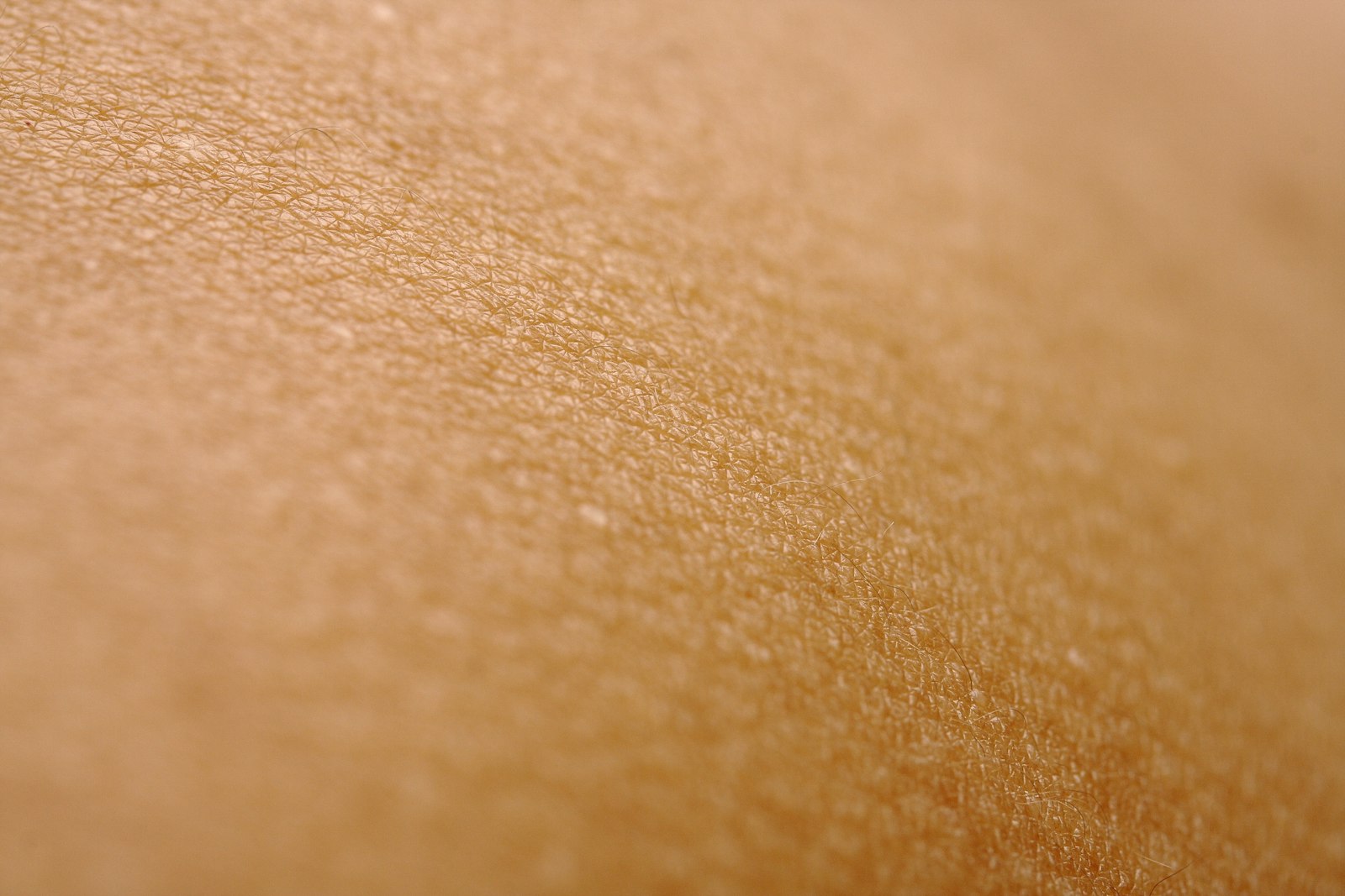 une vue rapprochée de la peau d’une personne