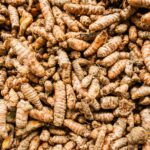 Alimentation équilibrée : les repères simples pour bien manger