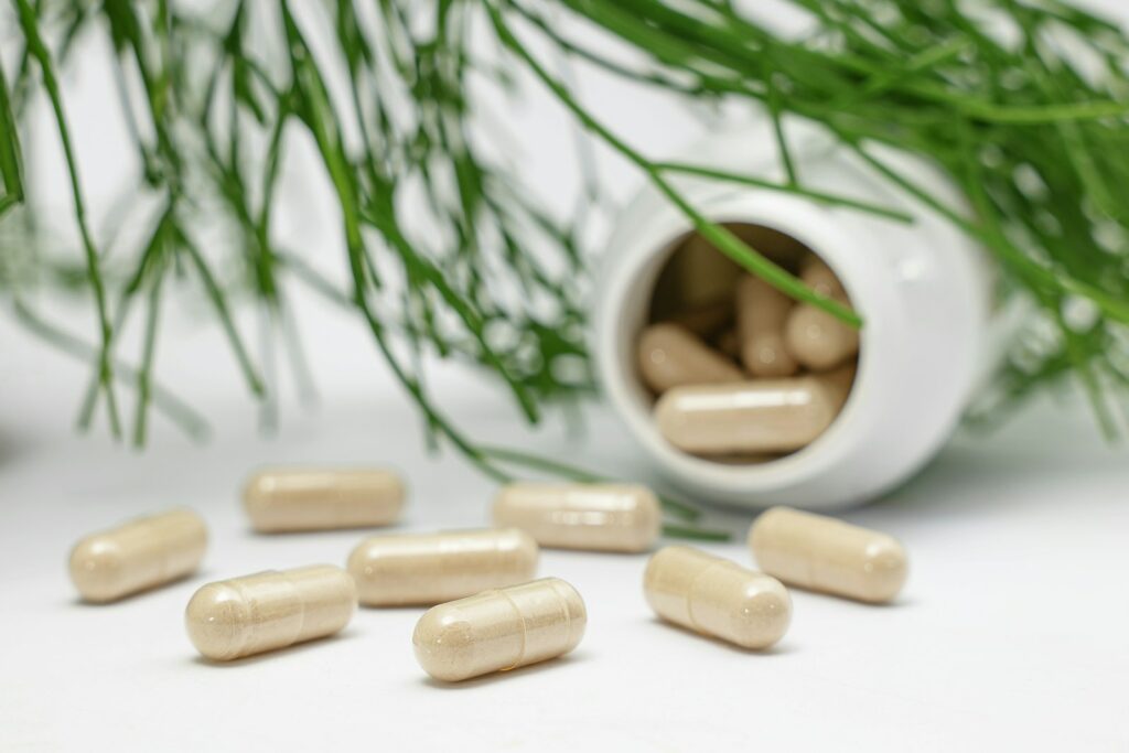 Des capsules beiges se sont renversées d’une bouteille blanche près d’aiguilles de pin vert