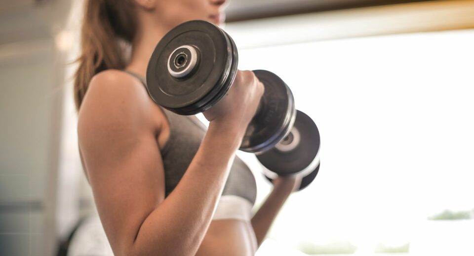 Musculation et résistance à l'insuline : pourquoi le muscle protège