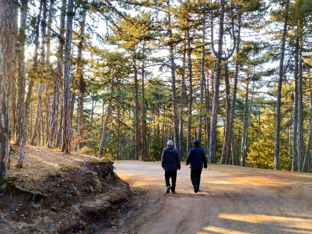 Ce que la nature fait à notre organisme