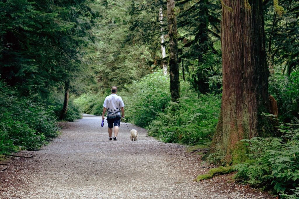 Idées pour se reconnecter à la nature