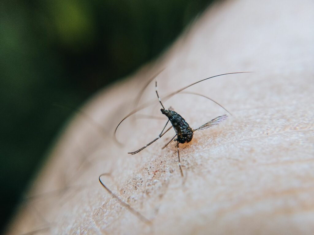 Calmer la démangeaison sans gratter